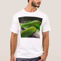 Snake…