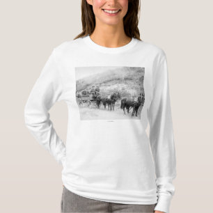 T-shirt Société de messagerie de Wells Fargo