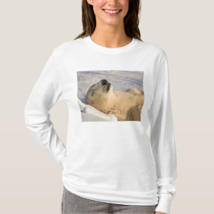 T-shirt Sommeil de l'ours polaire