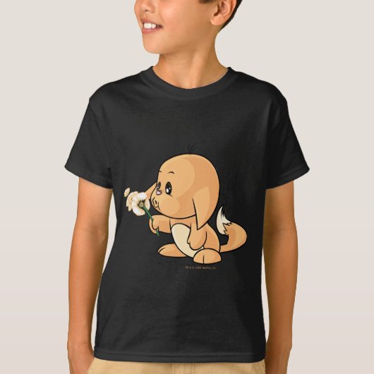 T-shirt Souhait de Kacheek orange (Devant)