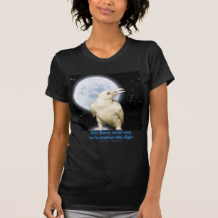 T-shirt SPIRIT RAVEN, STAR EATER Series