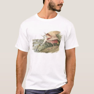 T-shirt Spoonbill de roseate par Audubon