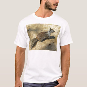 T-shirt Squirrell