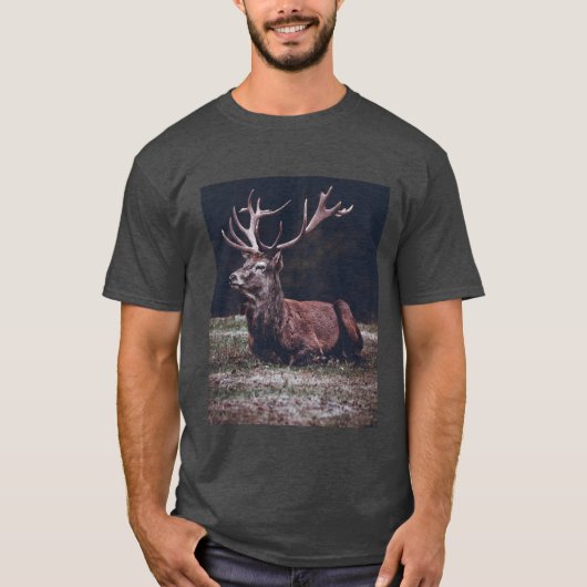 T-shirt Stag (Devant)