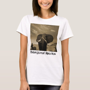 T-shirt Stature de Majestic