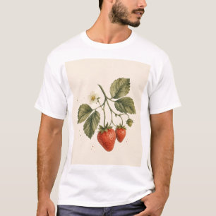 T-shirt Sucré comme une fraise Botanique vintage de frai