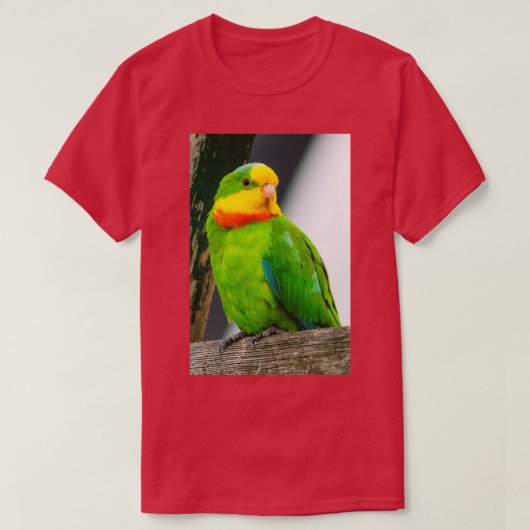 T-shirt Superbe perroquet 1 (Design devant)