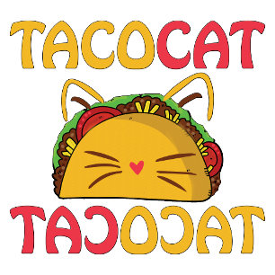 T-shirt Tacocat - Drôle de chat taco