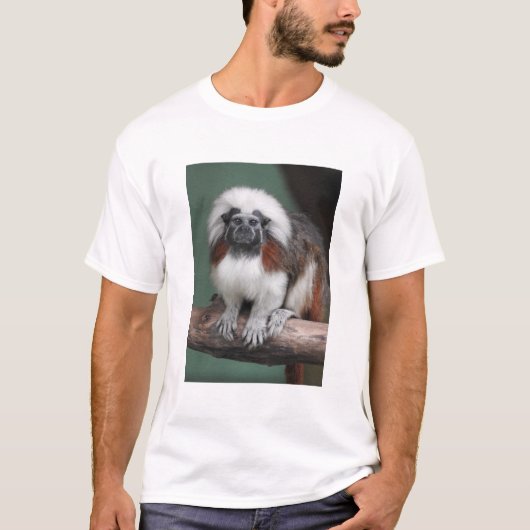 T-shirt Tamarin de Coton-dessus (Devant)
