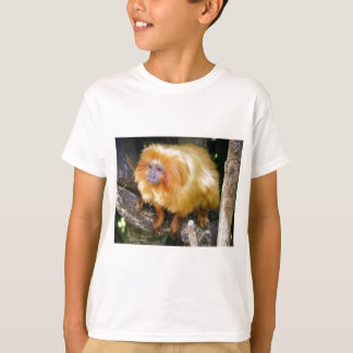 T-shirt Tamarin d'or de lion