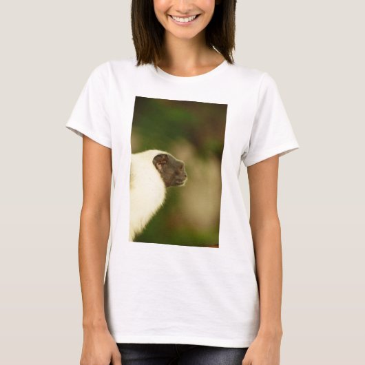 T-shirt Tamarin pie (Devant)