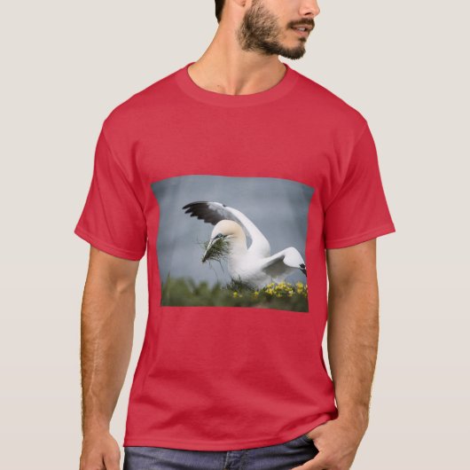 T-shirt Tee Oiseau de Mer Gannet Doré (Devant)