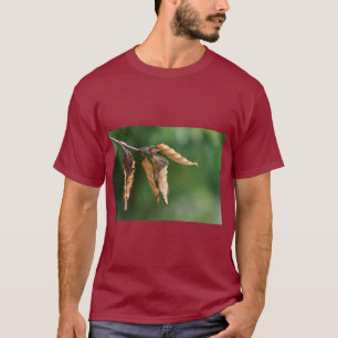 T-shirt Tee-shirt à motif de feuilles inspiré de la nature
