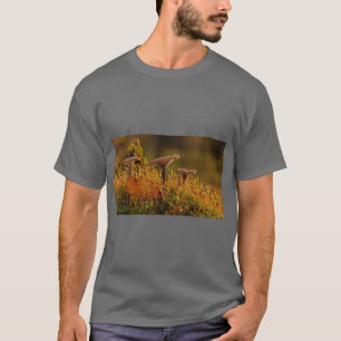 T-shirt Tee-shirt Adegein Abstract Nature