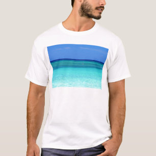 T-shirt Teintes bleues.JPG