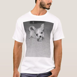 T-shirt Telula le chiwawa ! !