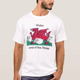 T-shirt Terre des moutons