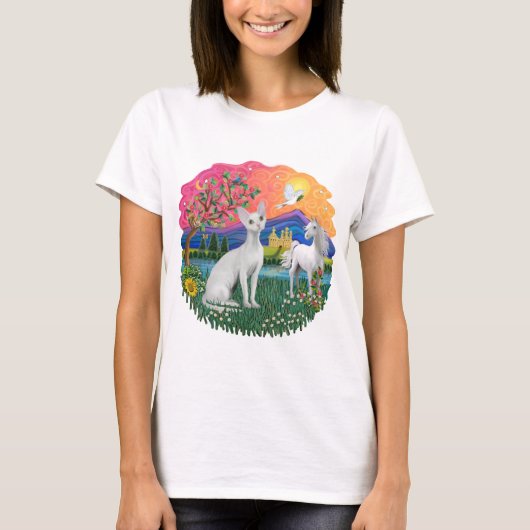 T-shirt Terre Fantastique (ff) - chat Devonshire Rex (Devant)