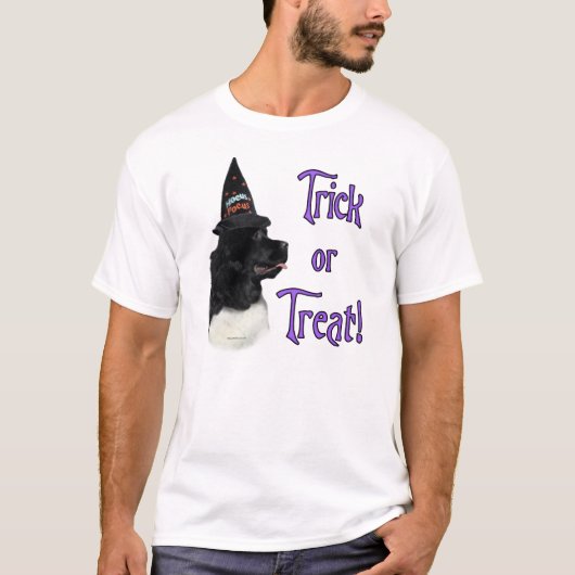 T-shirt Terre-Neuve (atterrisseur) Trick (Devant)