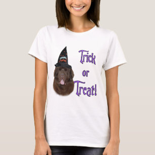 T-shirt Terre-Neuve (brun) Trick