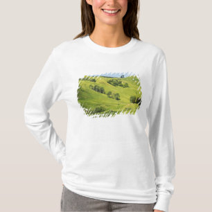T-shirt Terres agricoles près de Gisborne, Nouvelle-Zéland