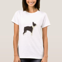Terrier de Boston
