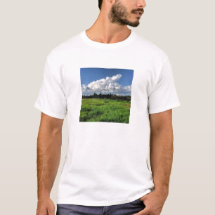 T-shirt test2