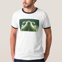 tête de tortue