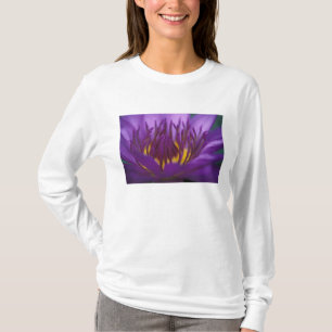 T-shirt Thaïlande, Bangkok, Lotus pourpre et jaune 2