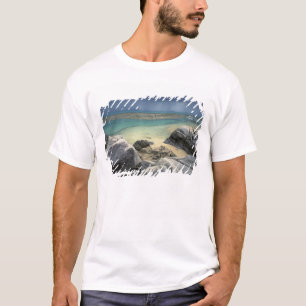 T-shirt Thaïlande, mer d'Andaman, île de Ko Phi Phi, Scéni