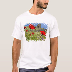 T-shirt Théâtre antique de l'Acropole de Pergame