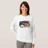 T-shirt Theorbo, 1637 (Devant entier)