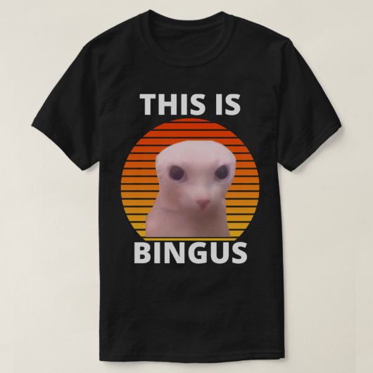 T-shirt This is bingus meme (Design devant)