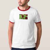 T-shirt Thomasse (Devant)
