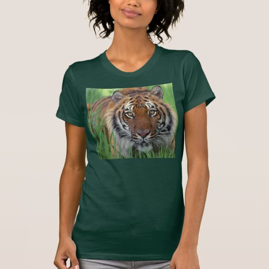 T-shirt Tigre (Devant)