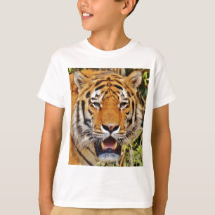 T-shirt Tigre