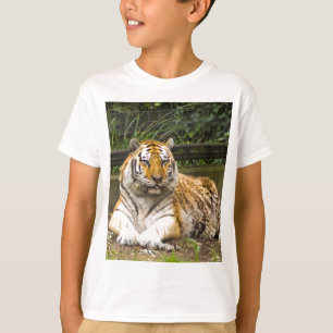 T-shirt Tigre