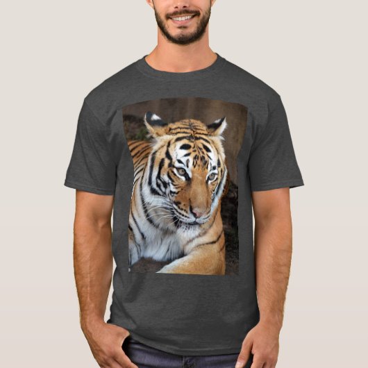 T-shirt Tigre (Devant)