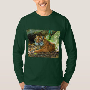T-shirt Tigre solennel