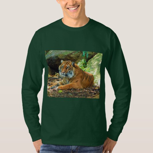 T-shirt Tigre solennel (Devant)