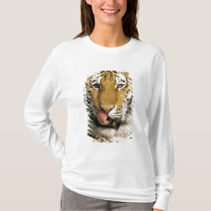 T-shirt Tigre Zoo du Michigan