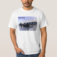 Timbre des baleines tueuses de l'Alaska