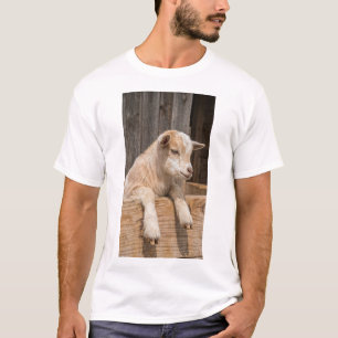 T-shirt Toile de chèvre bébé souriante Art mural de ferme
