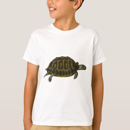 T-shirt Tortue de boîte (Devant)