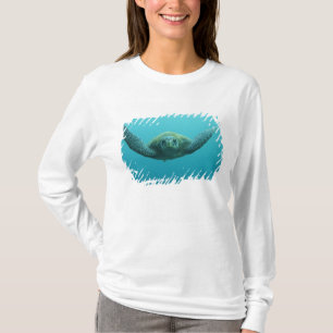 T-shirt Tortue verte (Chelonia mydas agassisi), Central