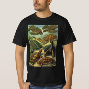 T-shirt Tortues de mer Tortue terrestre vintage par Ernst