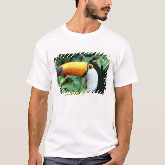T-shirt Toucan à bec jaune (Devant)