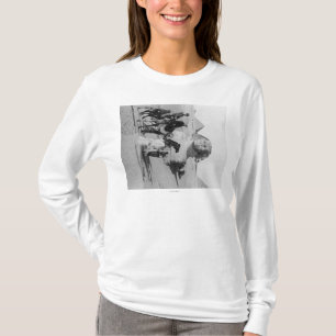 T-shirt Touristes de l'Egypte voyageant le Nil, Sphix