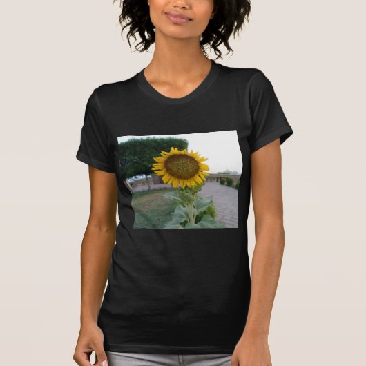 T-shirt Tournesol (Devant)