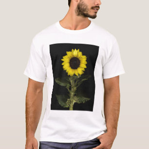 T-shirt Tournesol 11
